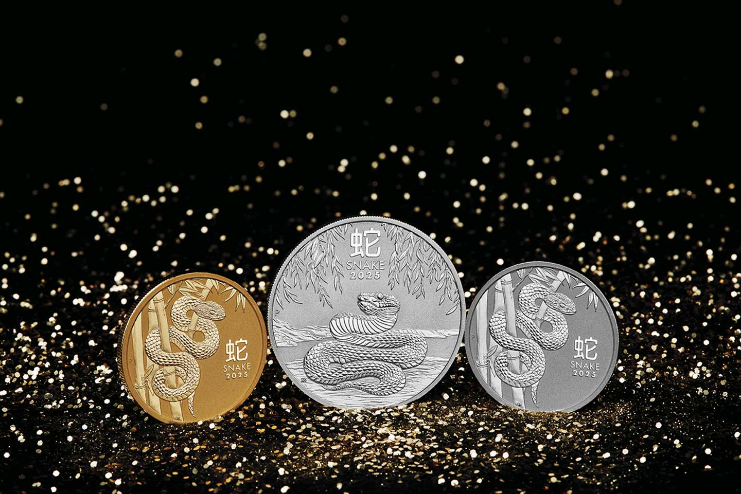 3 coins for the 2025 Year of The Snake bullion range 